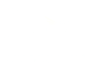 Robert Wood Johnson Foundation